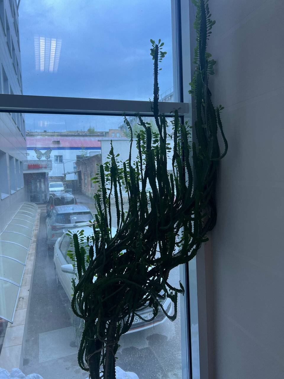 Фото Гостиницы City Star Пермь 117